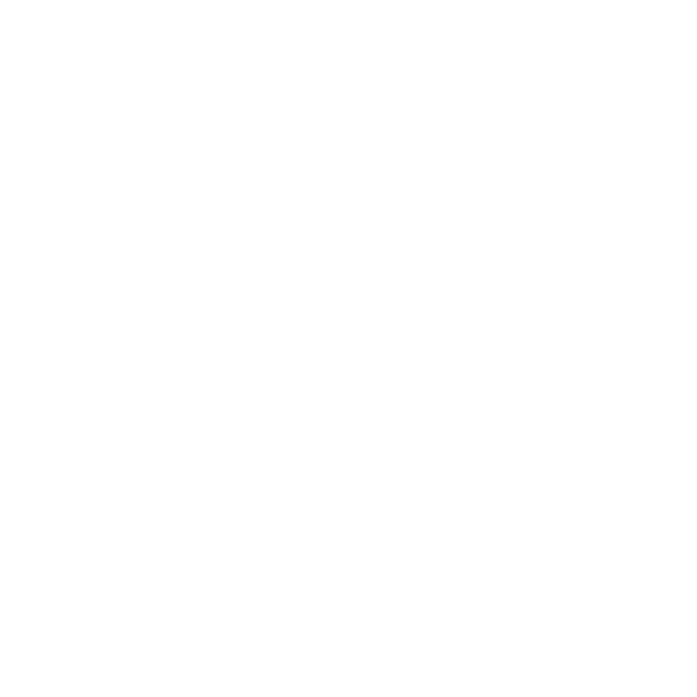 LV INVESTĪCIJU GRUPA